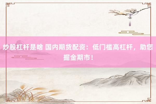 炒股杠杆是啥 国内期货配资：低门槛高杠杆，助您掘金期市！