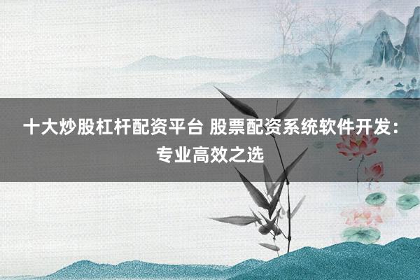 十大炒股杠杆配资平台 股票配资系统软件开发：专业高效之选