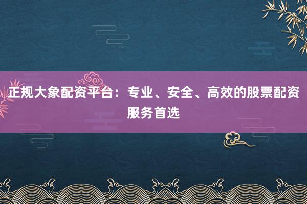 正规大象配资平台：专业、安全、高效的股票配资服务首选