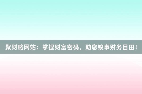聚财略网站：掌捏财富密码，助您竣事财务目田！
