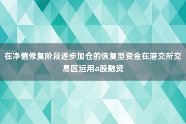 在净值修复阶段逐步加仓的恢复型资金在港交所交易区运用a股融资