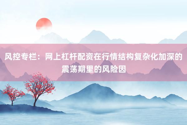风控专栏：网上杠杆配资在行情结构复杂化加深的震荡期里的风险因