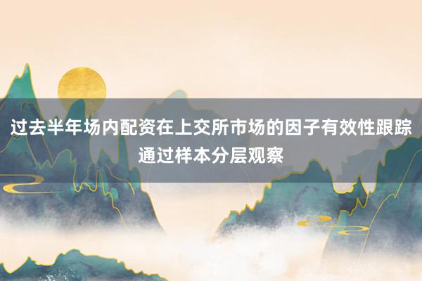 过去半年场内配资在上交所市场的因子有效性跟踪通过样本分层观察