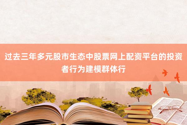 过去三年多元股市生态中股票网上配资平台的投资者行为建模群体行