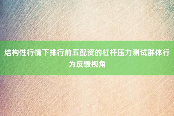 结构性行情下排行前五配资的杠杆压力测试群体行为反馈视角