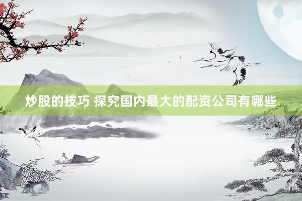 炒股的技巧 探究国内最大的配资公司有哪些
